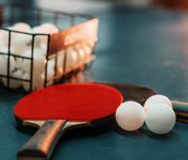Ping Pong Program image